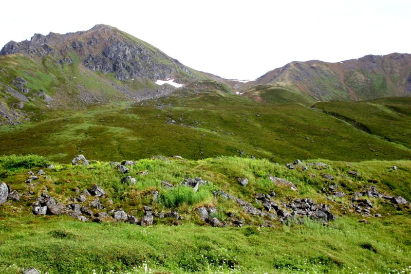 070404 Hope Hatcher Montana Creek (10168)